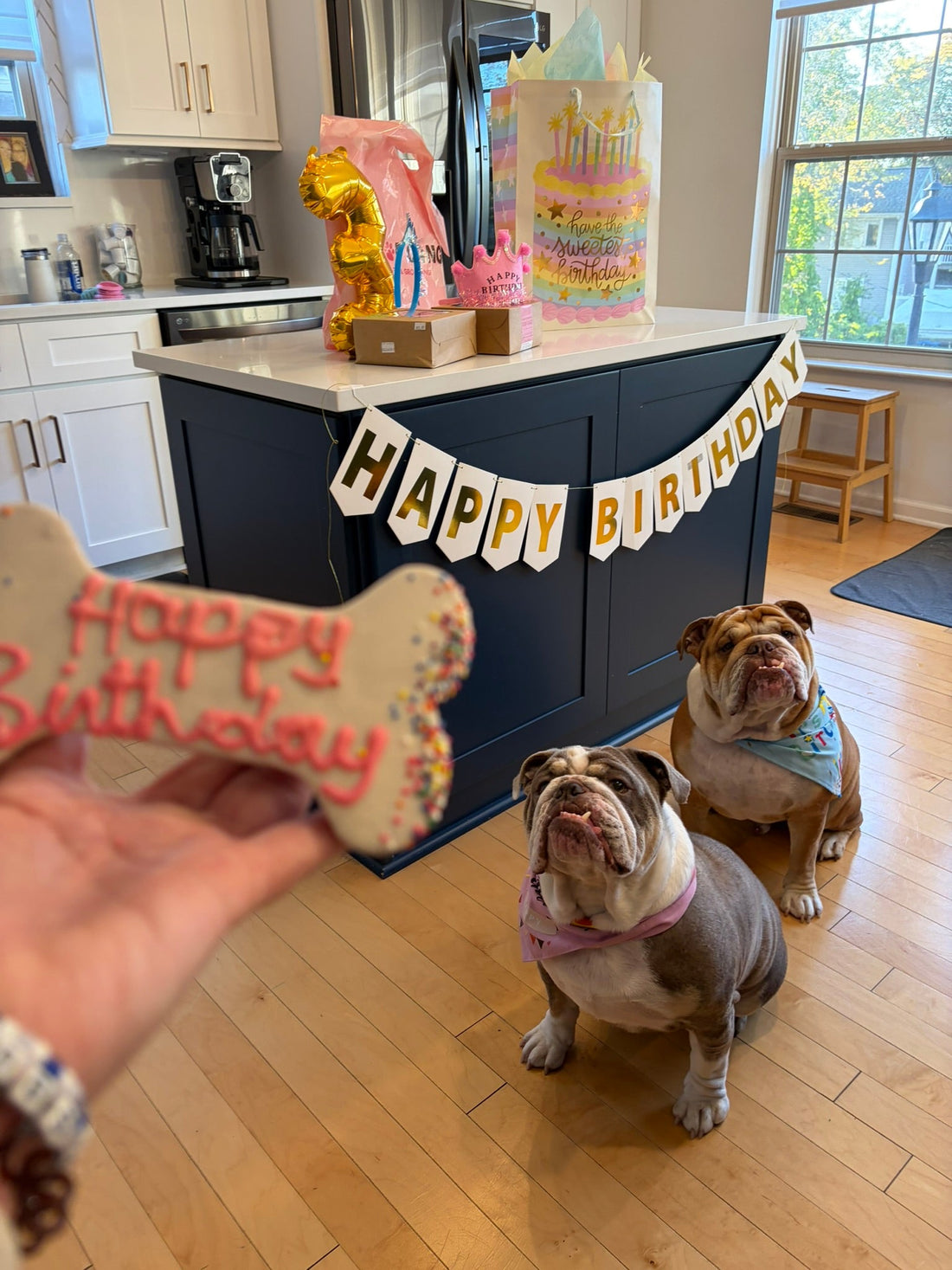Hank & Lucy Turn Three. Still Zero Apologies.