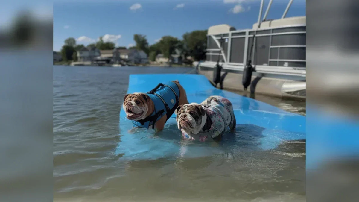 Lake Days with Hank & Lucy: Pontoon Life on Walled Lake