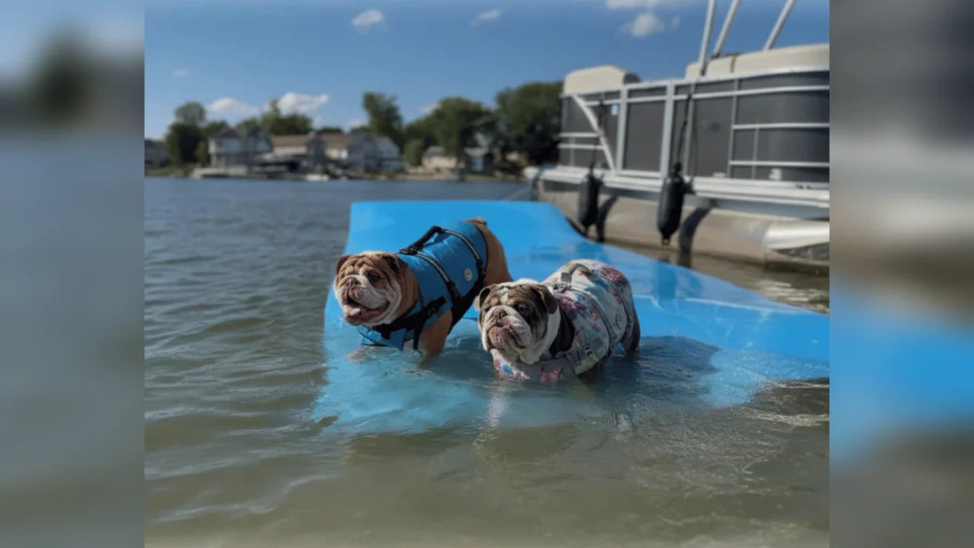 Lake Days with Hank & Lucy: Pontoon Life on Walled Lake