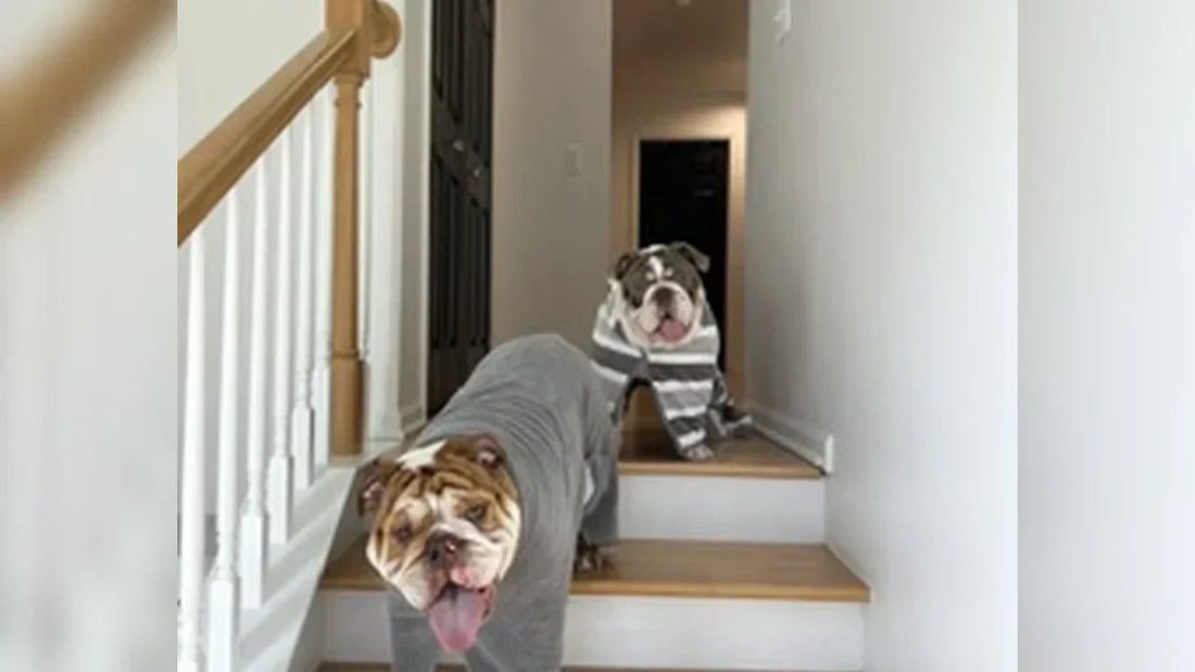 Spa Day. Bathrobes. Zero Apologies: Hank & Lucy's Self-Care Era