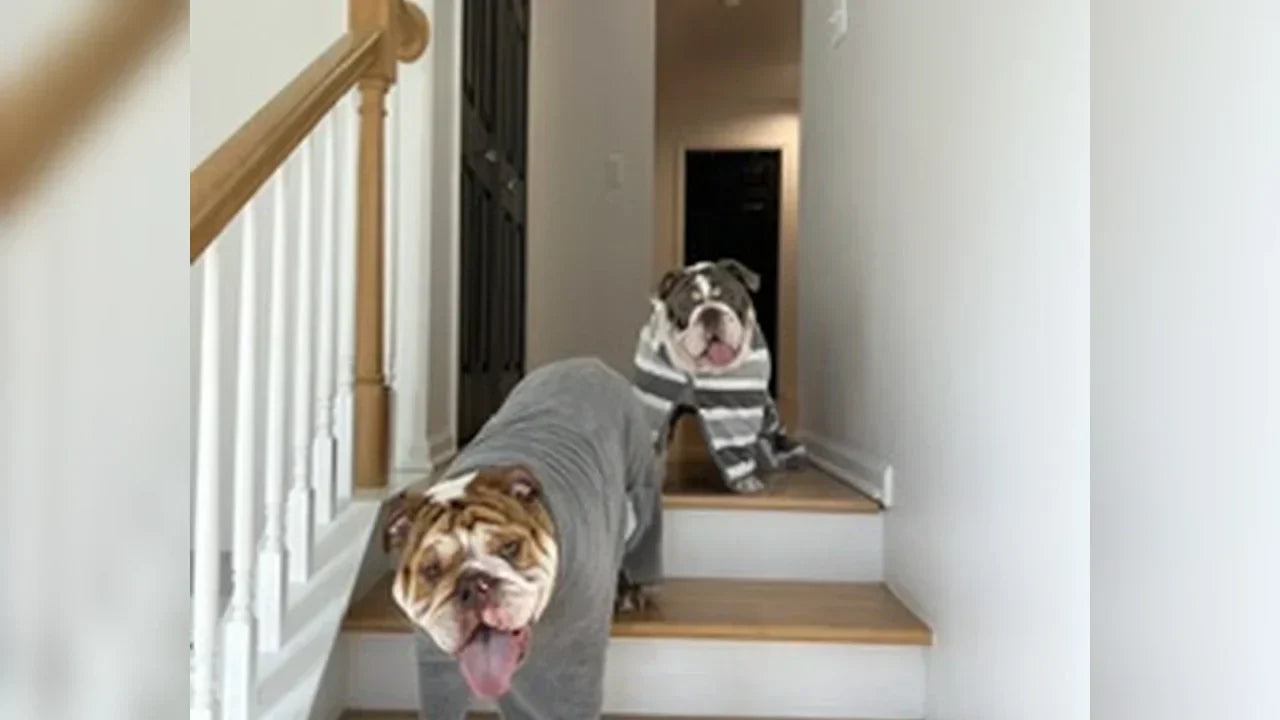 Spa Day. Bathrobes. Zero Apologies: Hank & Lucy's Self-Care Era