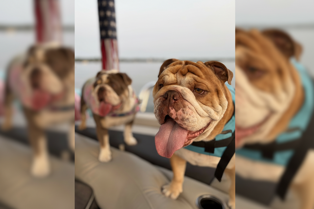 Spending the Night on the Boat: Watching Fireworks for Mom & Dad's Anniversary