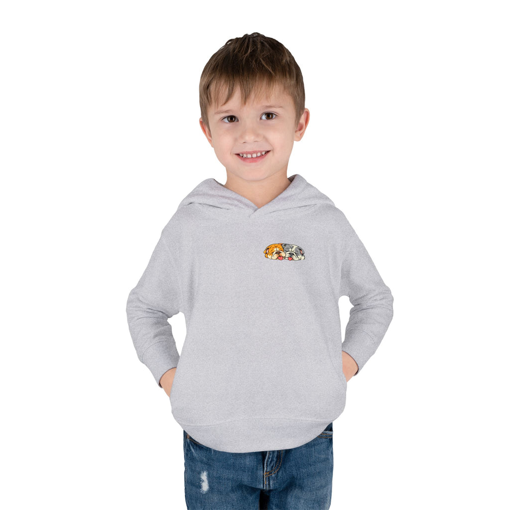 Toddler Hoodie — Cute Rainbow Guinea Pig Chest Print, Soft Pullover Fleece for Babies & Toddlers