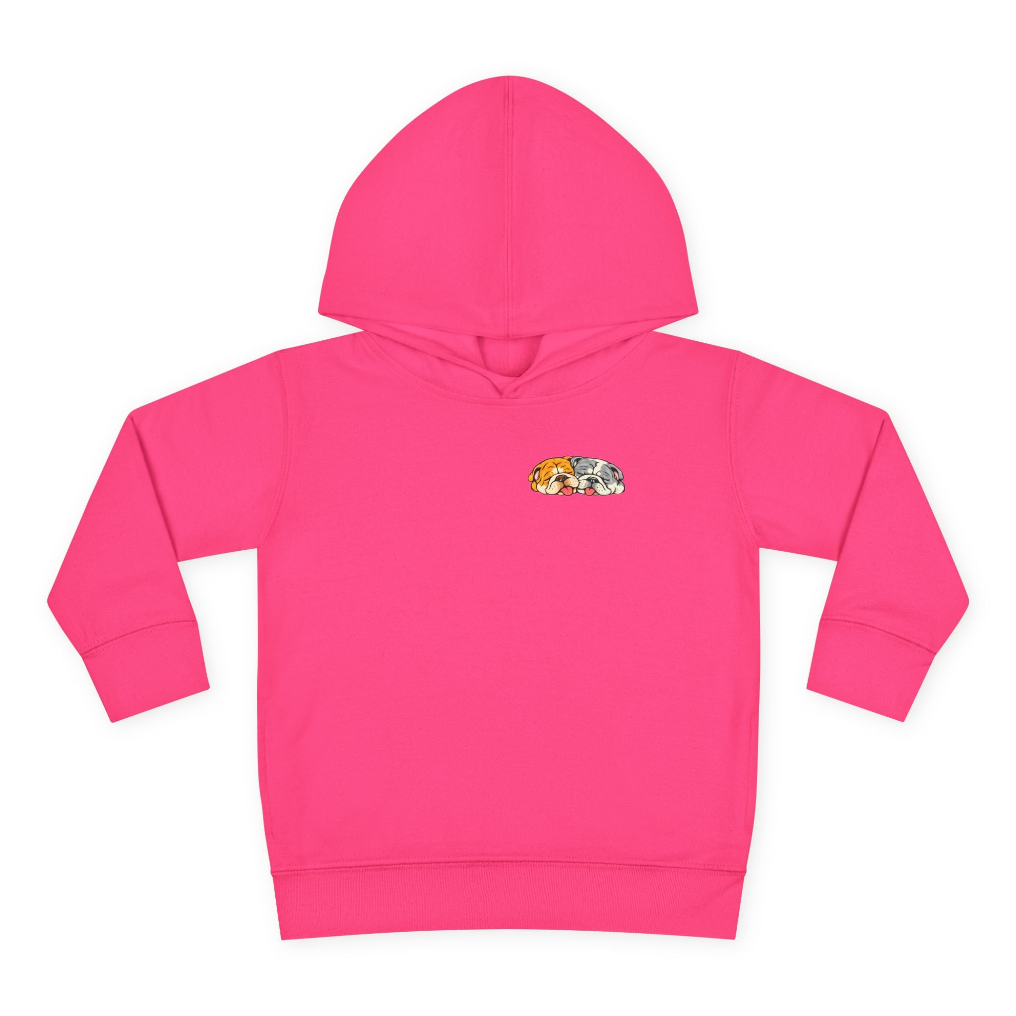 Toddler Hoodie — Cute Rainbow Guinea Pig Chest Print, Soft Pullover Fleece for Babies & Toddlers