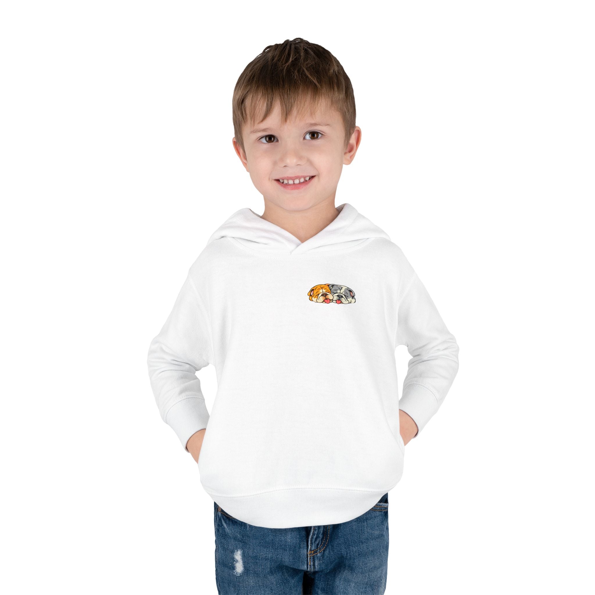Toddler Hoodie — Cute Rainbow Guinea Pig Chest Print, Soft Pullover Fleece for Babies & Toddlers