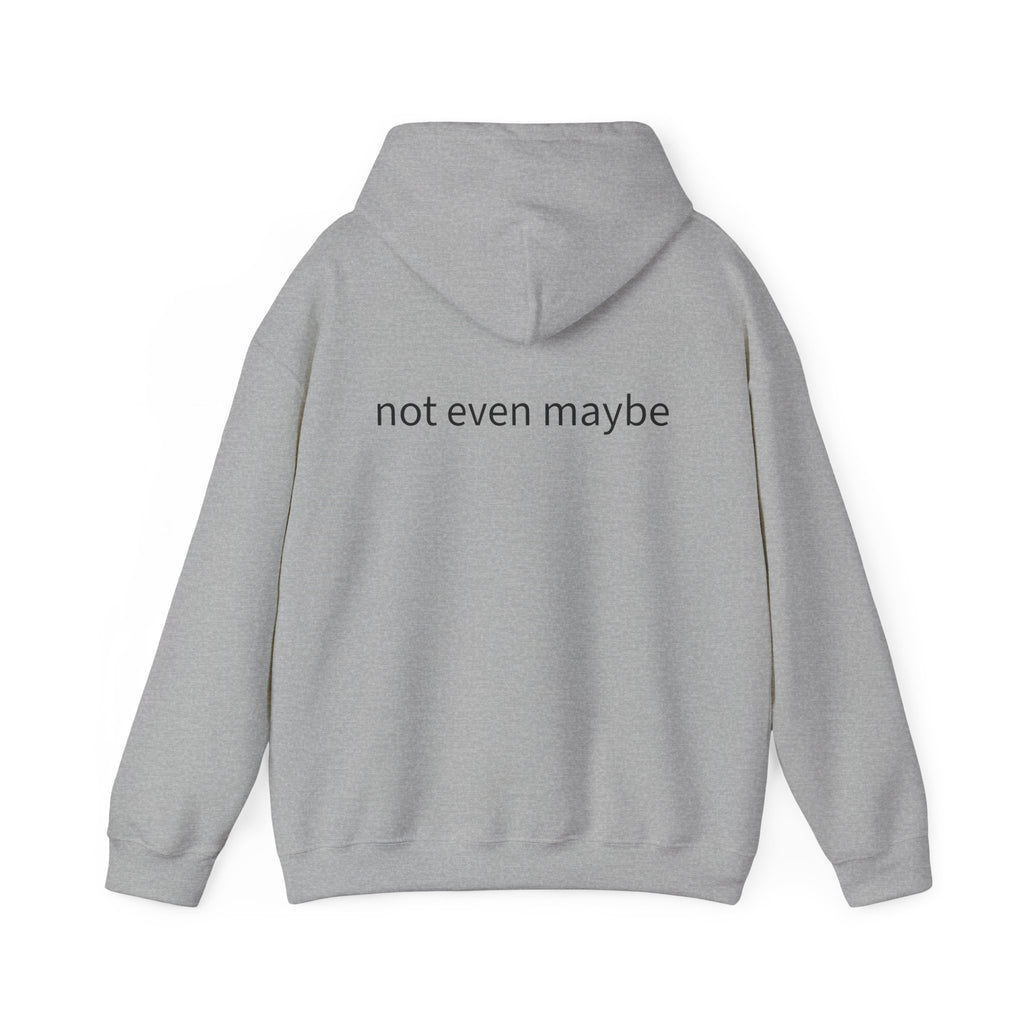 Lucy Pullover - not even maybe