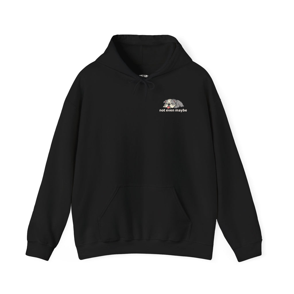 Lucy Pullover - not even maybe