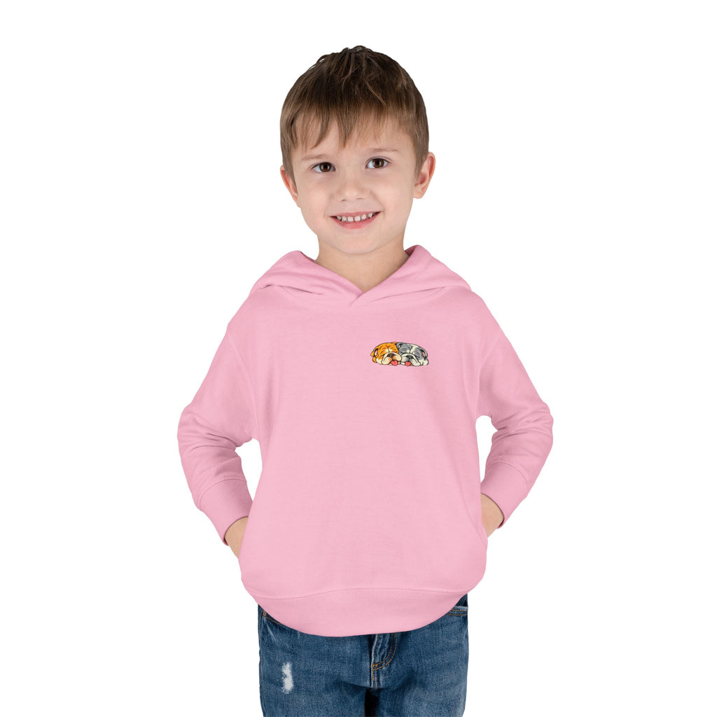 Toddler Hoodie — Cute Rainbow Guinea Pig Chest Print, Soft Pullover Fleece for Babies & Toddlers