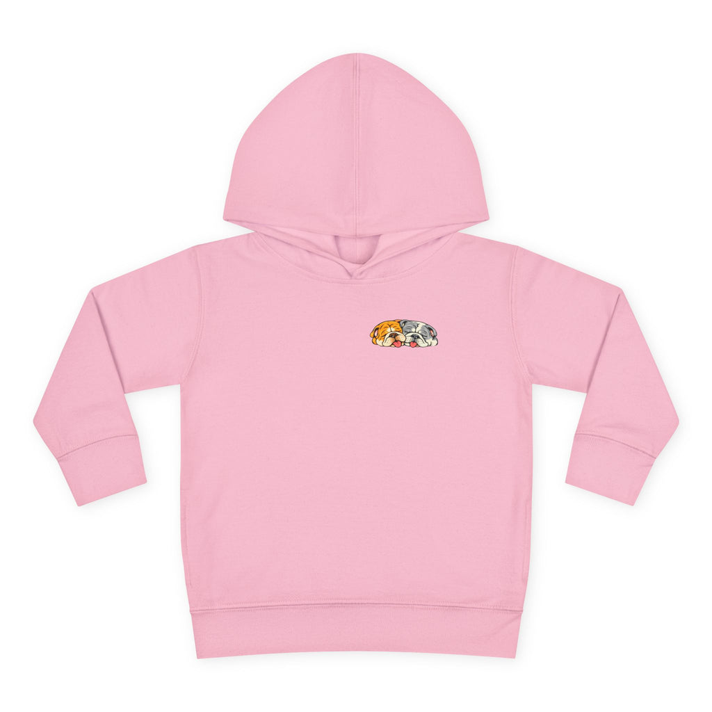 Toddler Hoodie — Cute Rainbow Guinea Pig Chest Print, Soft Pullover Fleece for Babies & Toddlers