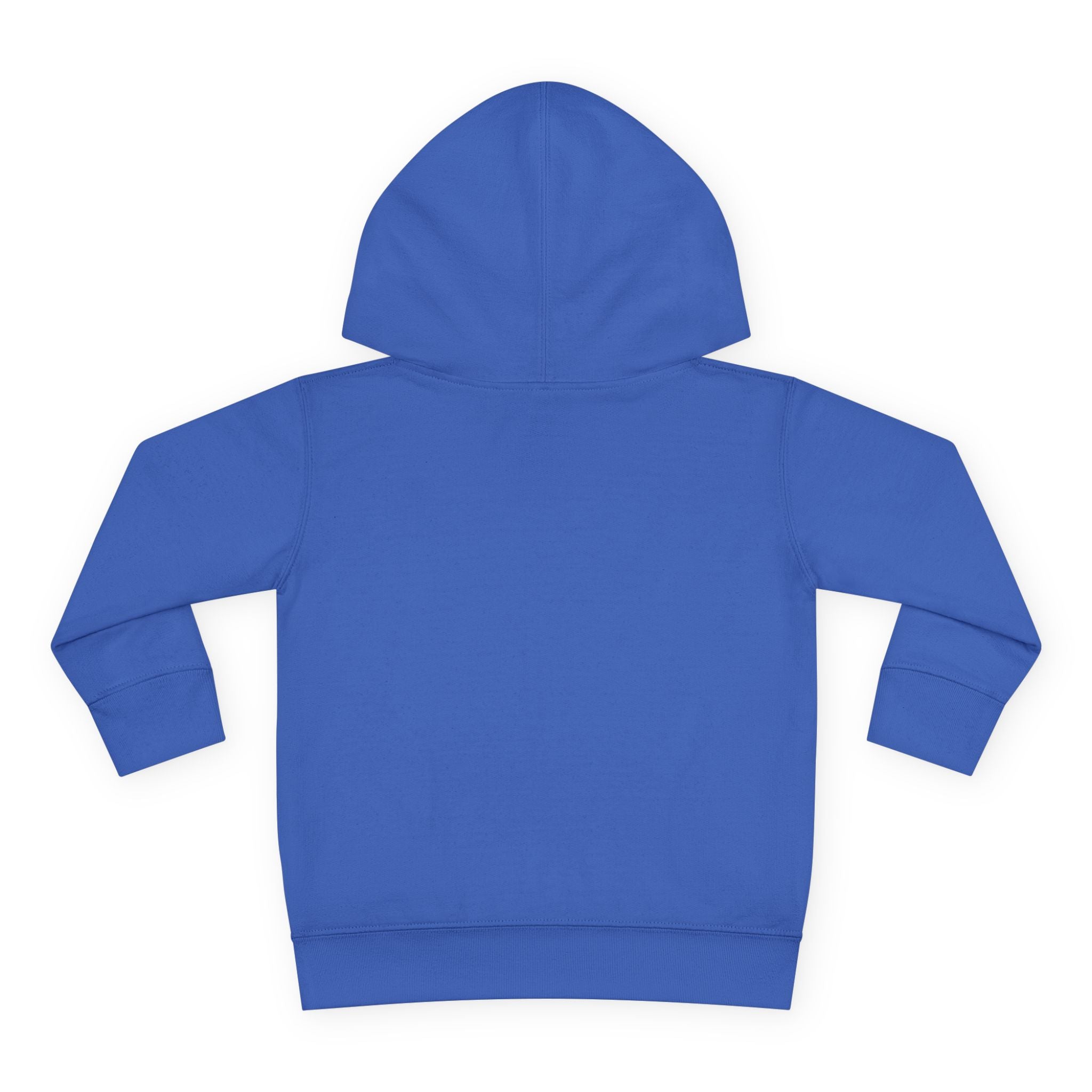 Toddler Hoodie — Cute Rainbow Guinea Pig Chest Print, Soft Pullover Fleece for Babies & Toddlers