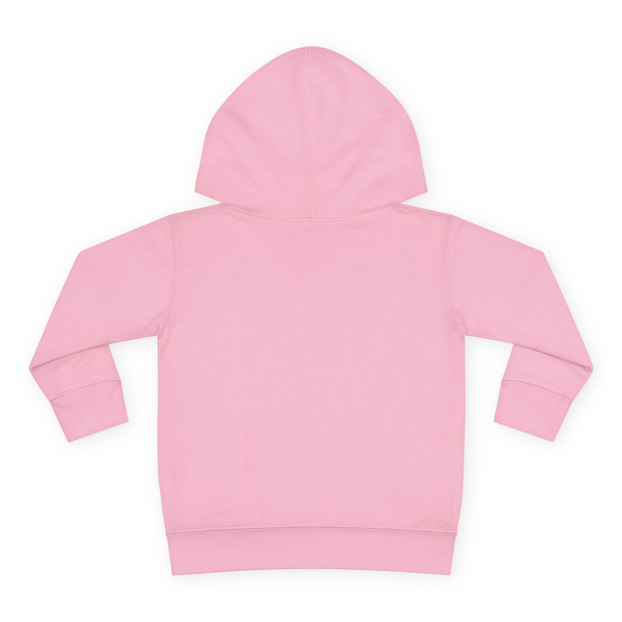 Toddler Hoodie — Cute Rainbow Guinea Pig Chest Print, Soft Pullover Fleece for Babies & Toddlers