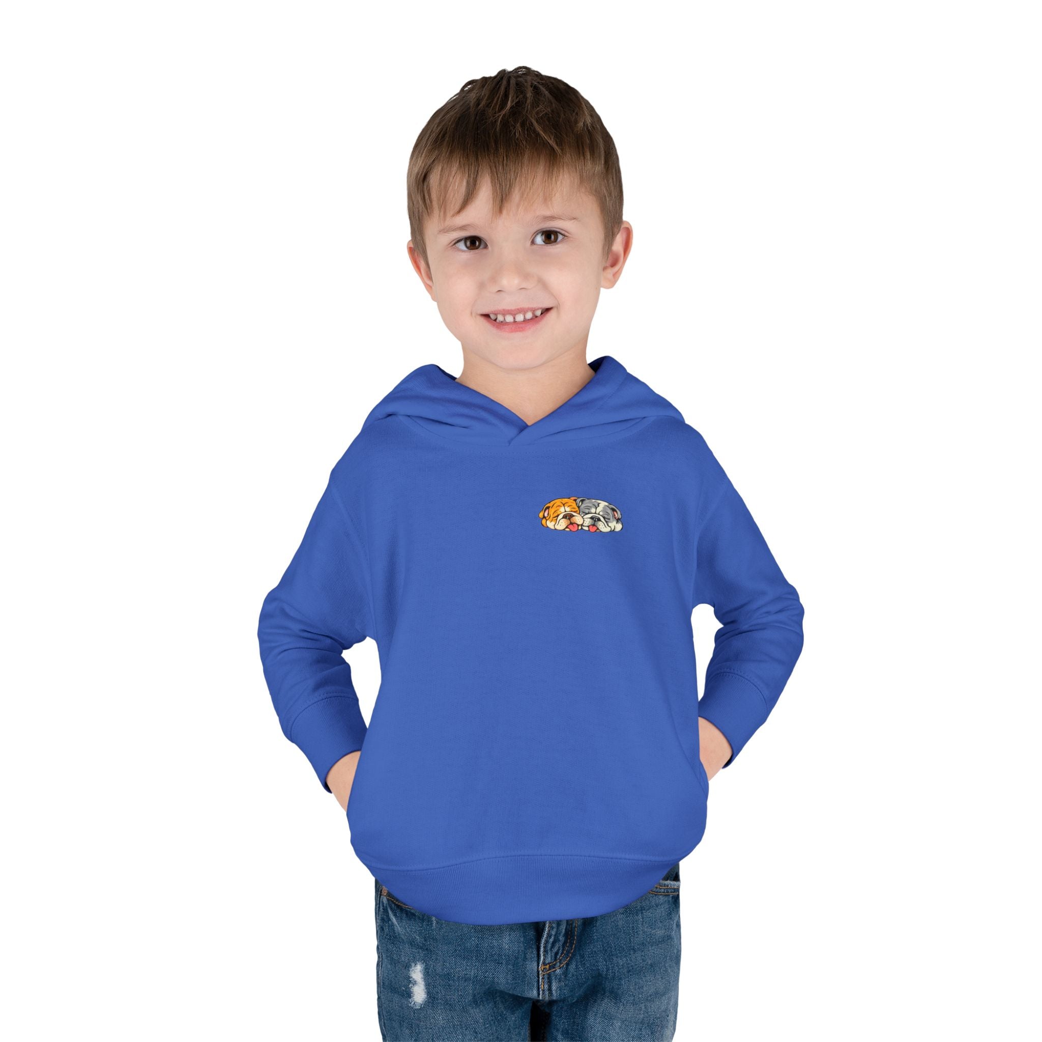 Toddler Hoodie — Cute Rainbow Guinea Pig Chest Print, Soft Pullover Fleece for Babies & Toddlers