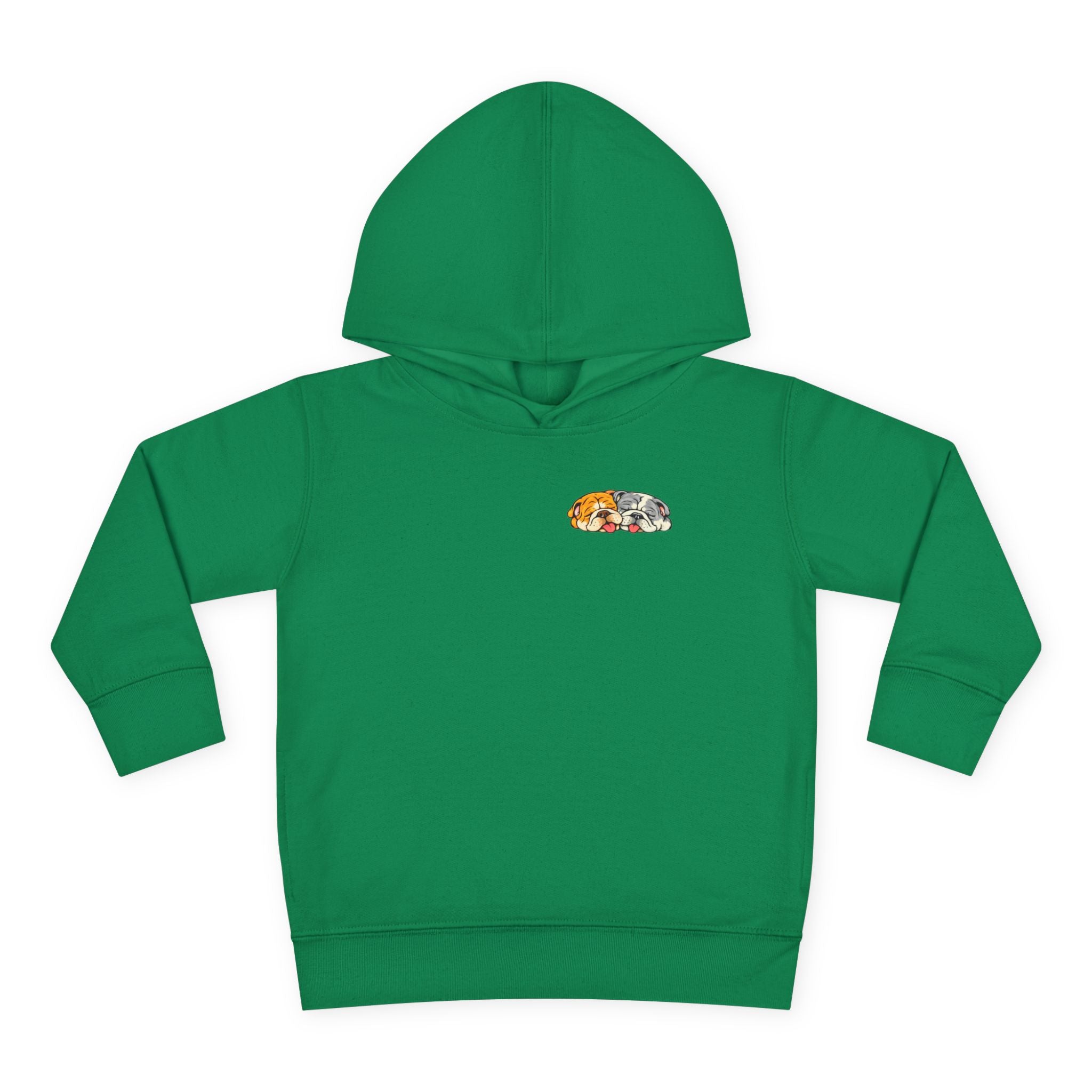 Toddler Hoodie — Cute Rainbow Guinea Pig Chest Print, Soft Pullover Fleece for Babies & Toddlers